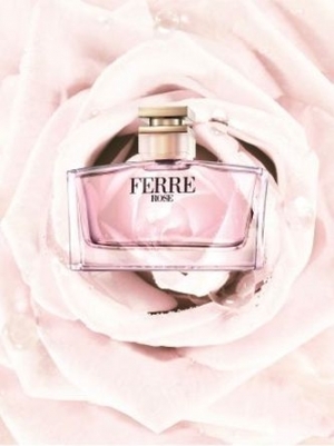   Ferre Rose